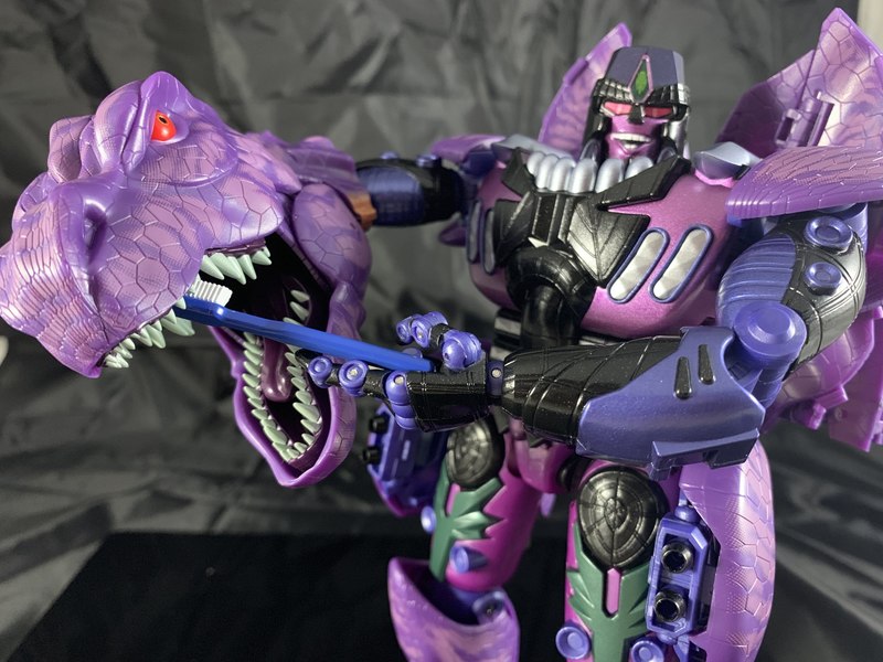 MP 43 Beast Wars Masterpiece Megatron In Hand Photos With Size Comparisons And Toothbrushing Adventures 09 (9 of 14)